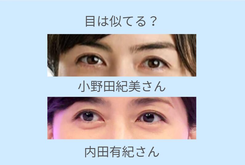 小野田紀美と内田有紀が似てる