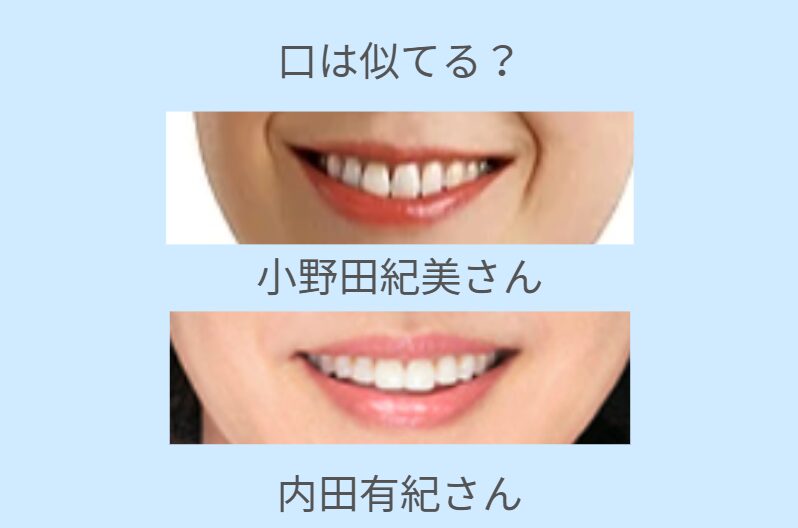 小野田紀美と内田有紀が似てる